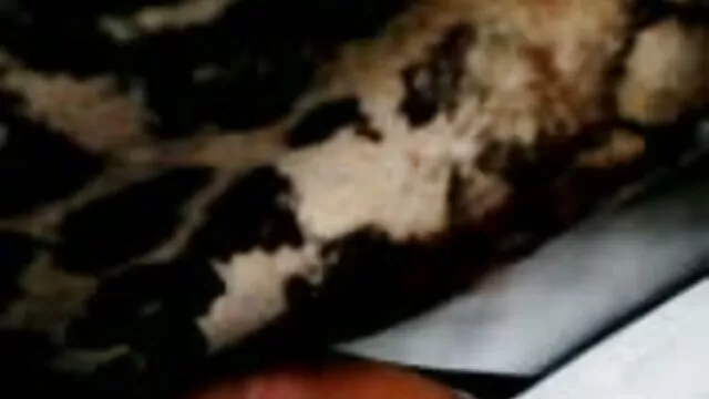ドラッグティナに遊びます女の子ホテル廊下 無料 av 女性 専用