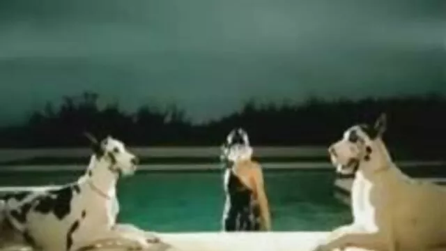 公園のジョークで 女の子 の ため の 無料 エッチ 動画